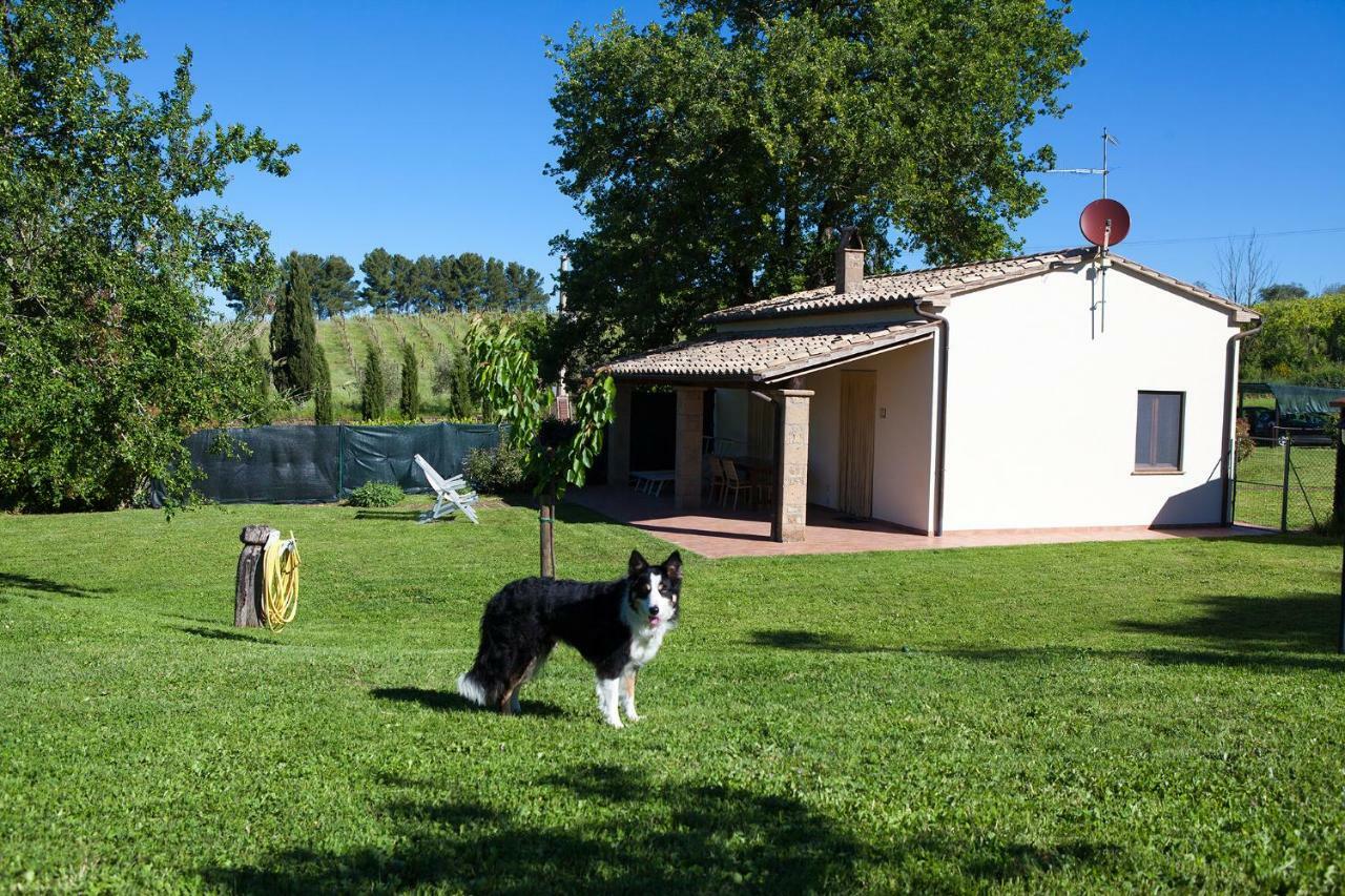 Casa Marta Pitigliano Quarto foto